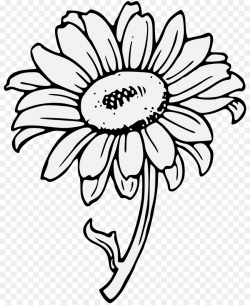 Black And White Flower clipart - Drawing, Flower, White ...