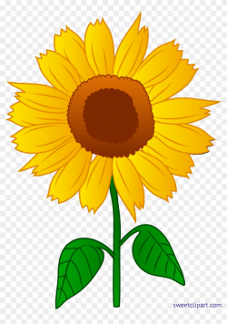 Sunflower Clip Art - Sun Flower Clipart, HD Png Download ...