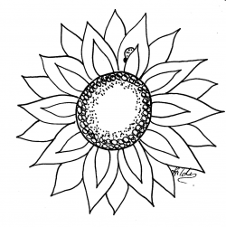 Free Sunflower Template, Download Free Clip Art, Free Clip ...