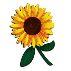 Sunflower clipart 5 - Cliparting.com