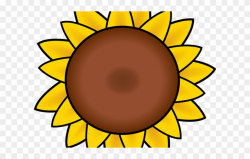 Petal Clipart Sun Flower - Sunflower Clipart - Png Download (#593486 ...