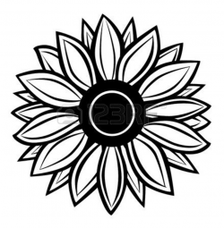 Sunflower black and white sunflower vector black and white ...