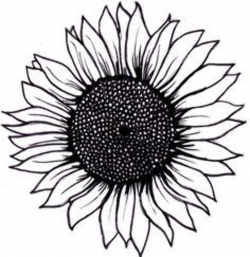 Free Black Sunflower Cliparts, Download Free Clip Art, Free Clip Art ...