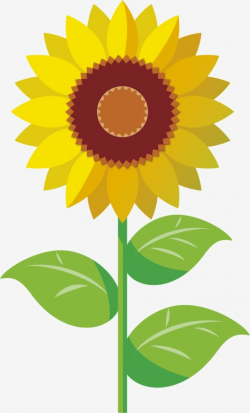 Sunflower Yellow Sunflowers Cartoon Hand-painted Flowers, Cartoon ...