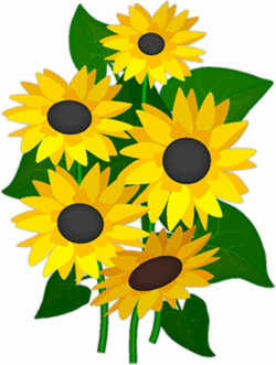 Sunflower free free sunflowers animated clipart - WikiClipArt