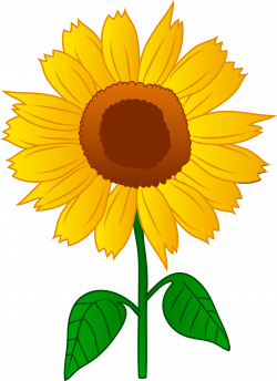Free Cartoon Sunflower, Download Free Clip Art, Free Clip Art on ...