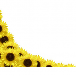 Sunflower Corner Clipart - Free Clipart