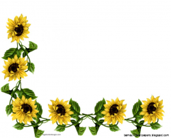 Sunflower Border | Free download best Sunflower Border on ClipArtMag.com