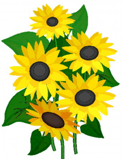 Sunflower clip art flowers and plants jpg - ClipartPost