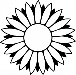 Free Black Sunflower Cliparts, Download Free Clip Art, Free Clip Art ...