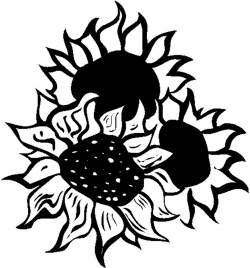 Free Sunflower Line Art, Download Free Clip Art, Free Clip Art on ...