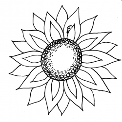 Free Black Sunflower Cliparts, Download Free Clip Art, Free Clip Art ...