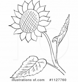 black and white sunflower clipart - Google Search | Designs ...