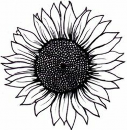 sunflower clipart black and white - Google Search | Tattoos ...