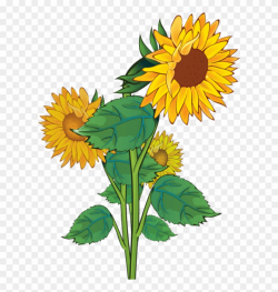 Free Sunflower Clipart Public Domain Flower Clip Art - Plants ...