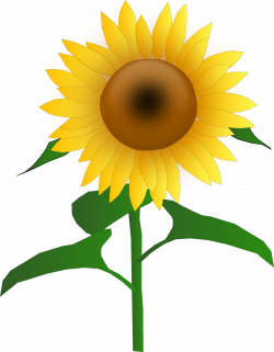 Sunflower Clipart | Free download best Sunflower Clipart on ...