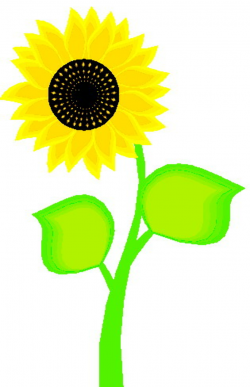 Sunflower clip art free printable clipart 7 - Cliparting.com