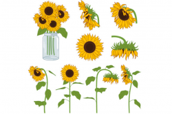 Sunflower clipart and images free clipartix - Cliparting.com