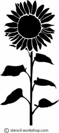 sunflower clipart black and white - Google Search | Sunflowers ...