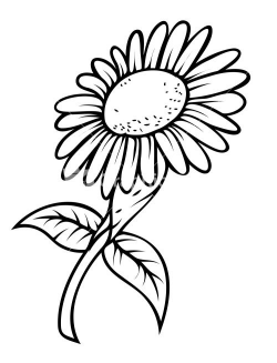 Line Drawing Sunflower | Free download best Line Drawing Sunflower ...