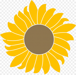 Free Sunflower Clipart Transparent Background, Download Free Clip ...