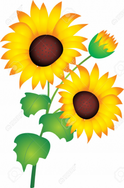 Sunflower Clipart | Free download best Sunflower Clipart on ...
