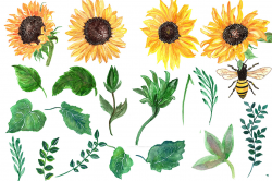 Watercolor sunflowers clipart