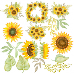 Sunflower clipart Watercolor sunflowers clipart Hand painted flowers ...