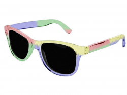 QUARTERS Wayfarer Sunglasses (transparent background - in many colors)