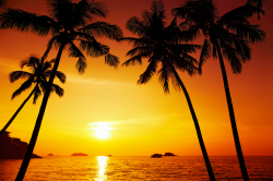 Beach Sunset Background | Gallery Yopriceville - High ...