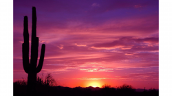 Sunset clipart desert sunset, Sunset desert sunset ...