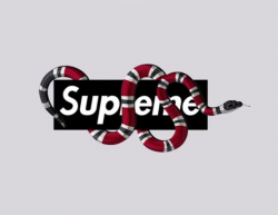 Pin by Mate Chiqobava on d in 2019 | Supreme logo, Art logo ...
