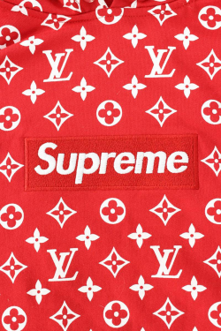 シュプリーム /SUPREME X Louis Vuitton /LOUISVUITTON X LOUIS VUITTON box logo  pullover parka (XL/ red) bb51#rinkan*S