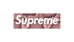 The 19 Most Obscure Supreme Box Logo Tees | Highsnobiety