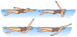 Free Backstroke Cliparts, Download Free Clip Art, Free Clip ...