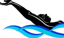 Free Backstroke Clipart