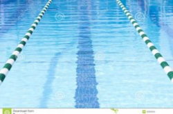 Competitive swimming pool clipart 4 » Clipart Portal