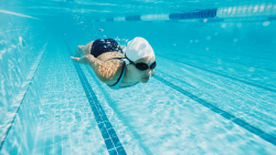 Swimming pool Front crawl Sport Woman, Swimming PNG clipart ...
