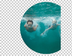 Download for free 10 PNG Swimming pool clipart underwater ...