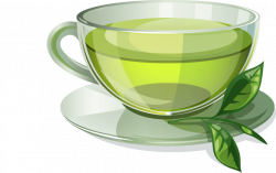 Green tea Coffee Herbal tea - crazy shopping png download ...