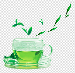 Green tea Yum cha The Classic of Tea Meitan County, green ...