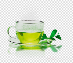 Leaf Green Tea clipart - Tea, Food, Green, transparent clip art