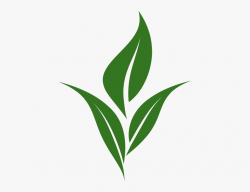 For Free Download On Mbtskoudsalg Clip - Logo Tea Leaves Png ...