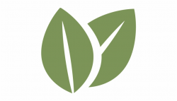 Leaf Icon - Tea Leaf Icon Png Free PNG Images & Clipart ...