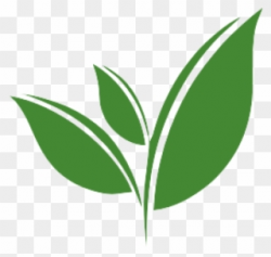 Free PNG Tea Leaf Clip Art Download - PinClipart