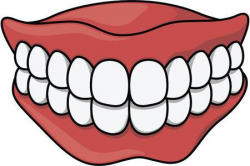 False teeth clipart 8 » Clipart Station