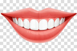 Lips, Bright Smile Teeth transparent background PNG clipart ...