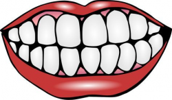 Mouth and Teeth Clipart - print out and laminate teeth for ...