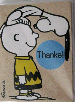Hallmark Peanuts Snoopy Charlie Brown Package 10 Thank You Cards Notes