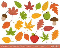 Autumn Fall Clip art, Thanksgiving Clipart, Acorns, Leaves, Leaf ...